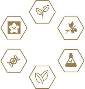 1xBET·Signup(中国区)-官方网站