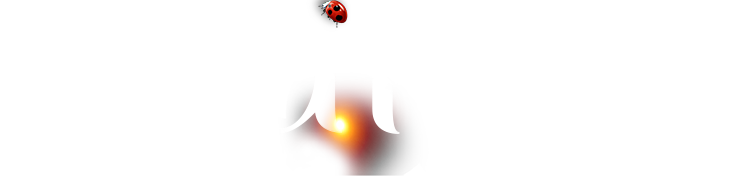 1xBET·Signup(中国区)-官方网站